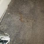 Carpet cleaning