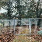 Fence Painting
