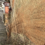 Tree Service Project