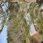 Tree Service Project