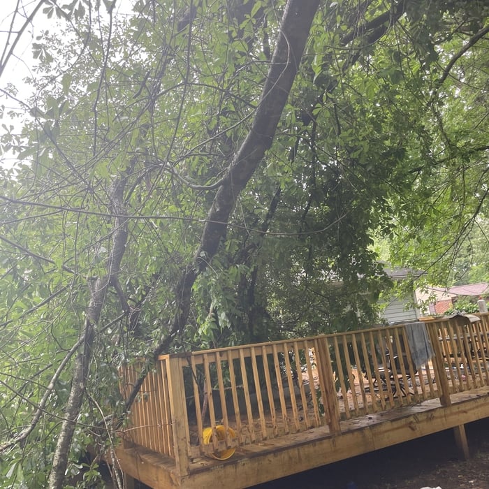 Additional Photos