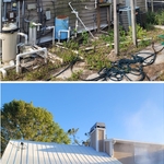 House and Roof Wash
