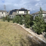 Tree Installation and Limestone Drainage Feature