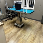 Floor Cleaning