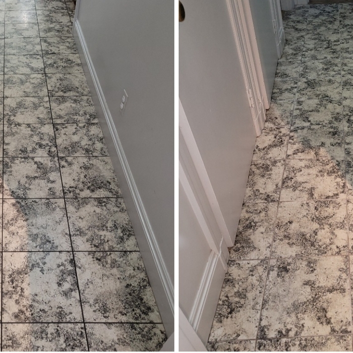 Housecleaning Project