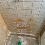 Housecleaning Project