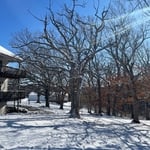 Tree Service Project