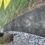 Pressure Washing Project