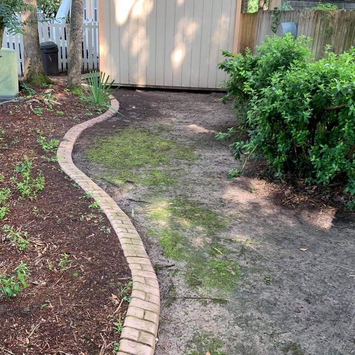 After prepping before sod installation