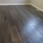 Housecleaning Project