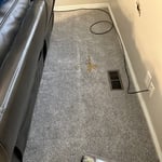 Carpet Cleaning Project