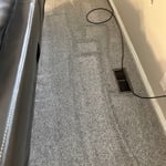 Carpet Cleaning Project