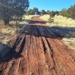 Gary Driveway/landscape