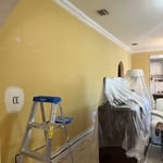 Interior Painting Project