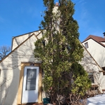 Tree Service Project