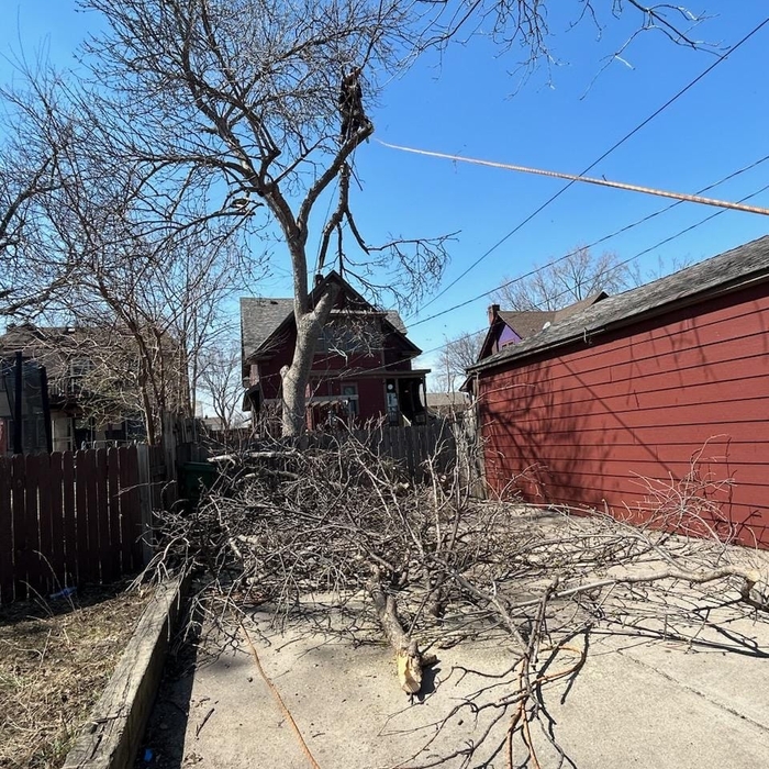 Tree Service Project