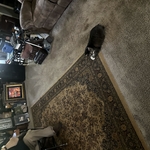 Carpet Cleaning Project
