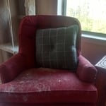 Chair with cat hair before