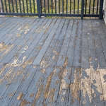 Before picture of deck. Deck has extensive rot. peeling paint, mold and mildew.