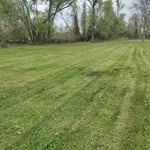 Lawn Care
