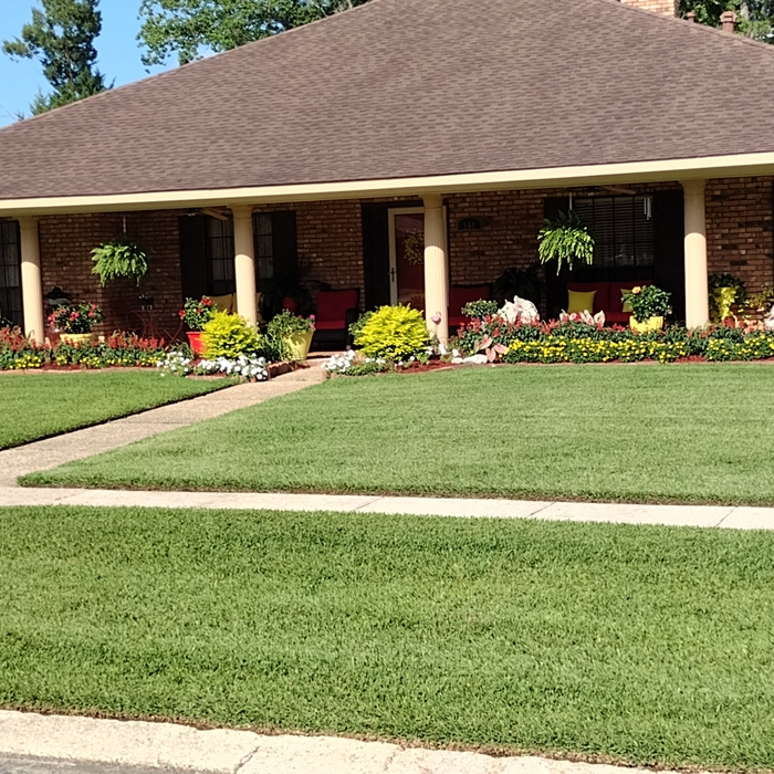 House Cleaning Services