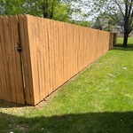 Was plane wood we stain