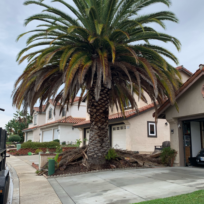 Additional Photos