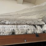 Dark areas of foam is biological growth and dust