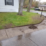 Landscaping Project