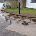 Landscaping Project