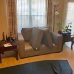 Upholstery Cleaning Project