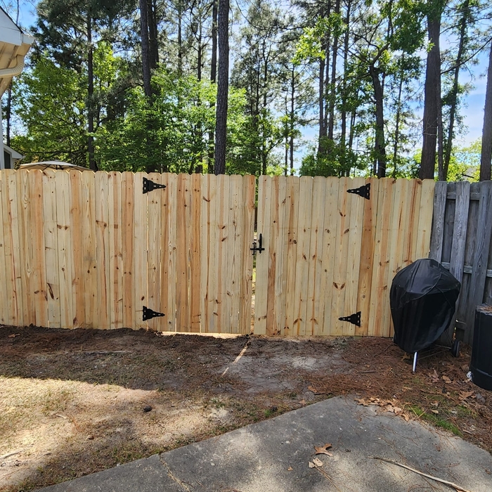 Fencing Project