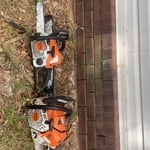Tree trimming