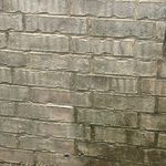 Pressure Washing Project