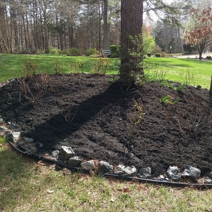 Additional Photos