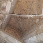 Mold