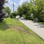 Tree Service Project