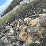 Tree Service Project