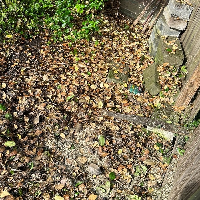 Tree Service Project