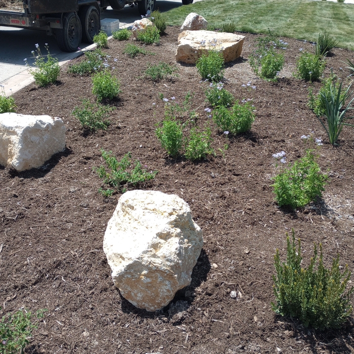Landscaping Project