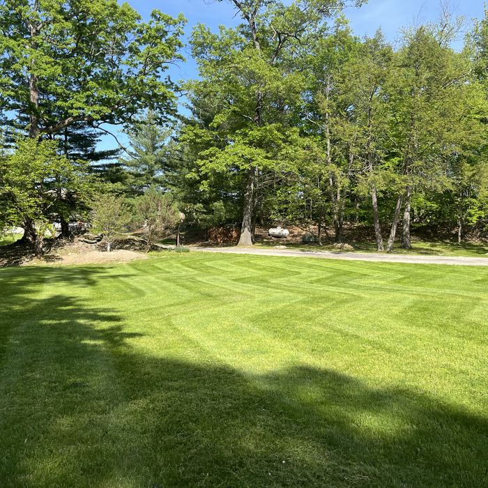 Additional Photos