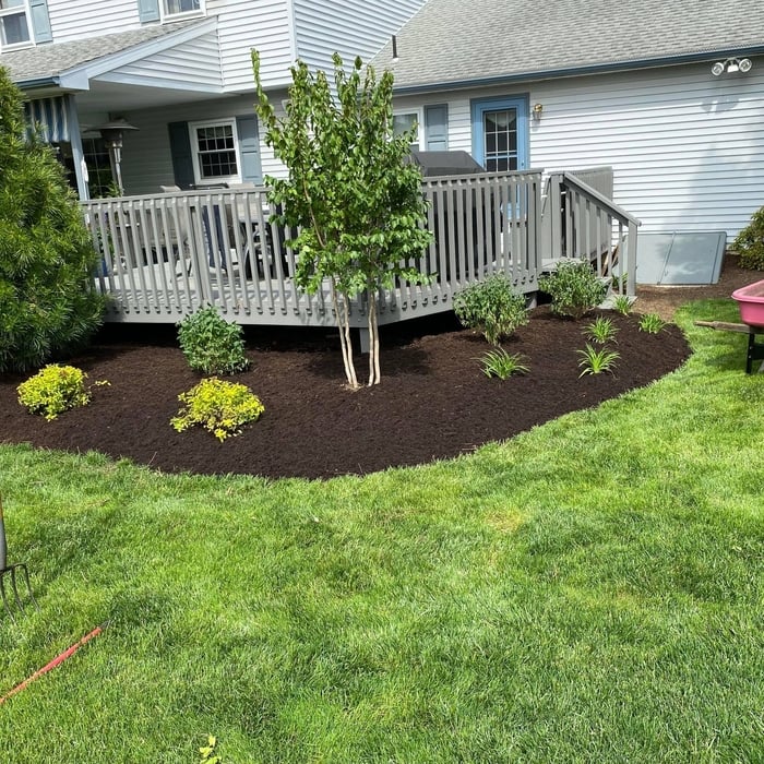 Landscaping