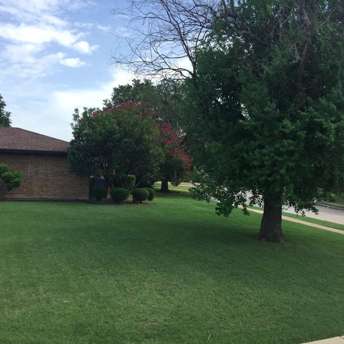 Additional Photos