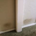 Carpet cleaning ...