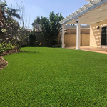 Artificial Turf