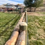 Whitaker fence