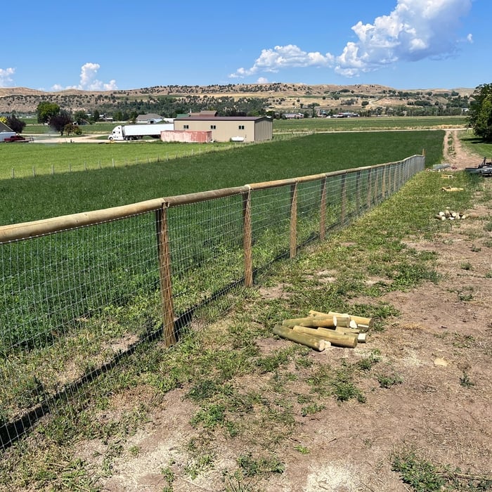 Whitaker fence