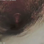 Descaling cast iron sewer line