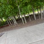 Mulch and Topsoil Project