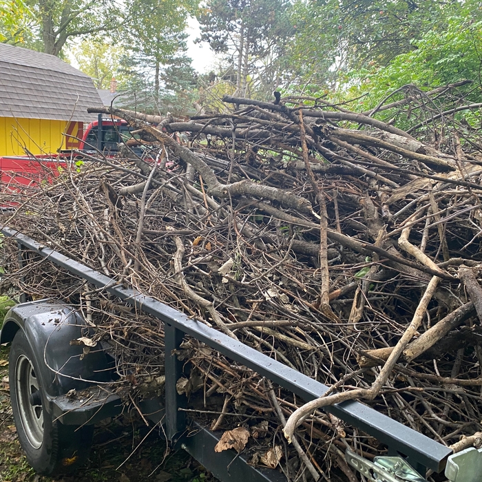 Brush removal